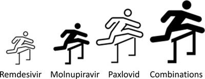 The Need for Speed and Efficiency: A Brief Review of Small Molecule Antivirals for COVID-19